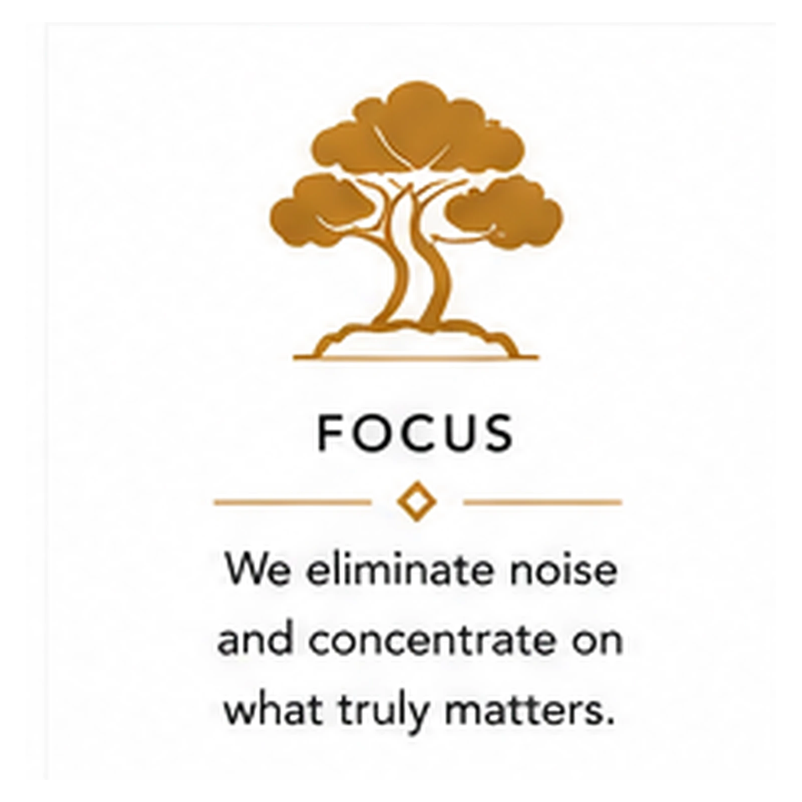 Focus